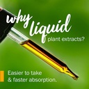 herb-pharm-jamaica-dogwood-liquid-extrac-2.jpg