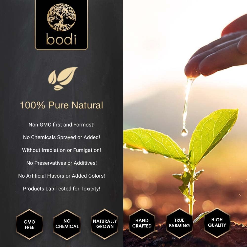 bodi-bacopa-monnieri-201-extract-powder--2.jpg