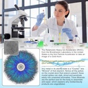 8000-ppm-bioactive-atomic-colloidal-silv-3.jpg