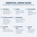 the-amino-co---perform-pre-workout-powde-4.jpg
