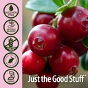 natures-answer-alcohol-free-cranberry-ex-5.jpg