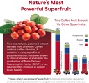 tinc-coffee-fruit-extract---extra-streng-5.jpg