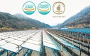 gangwoninsam-korean-red-ginseng-extract--4.jpg
