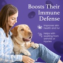 c60-evo-dog-lover-set---a-bottle-for-eac-5.jpg