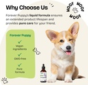 forever-puppy-echinacea-drops-for-dogs---6.jpg