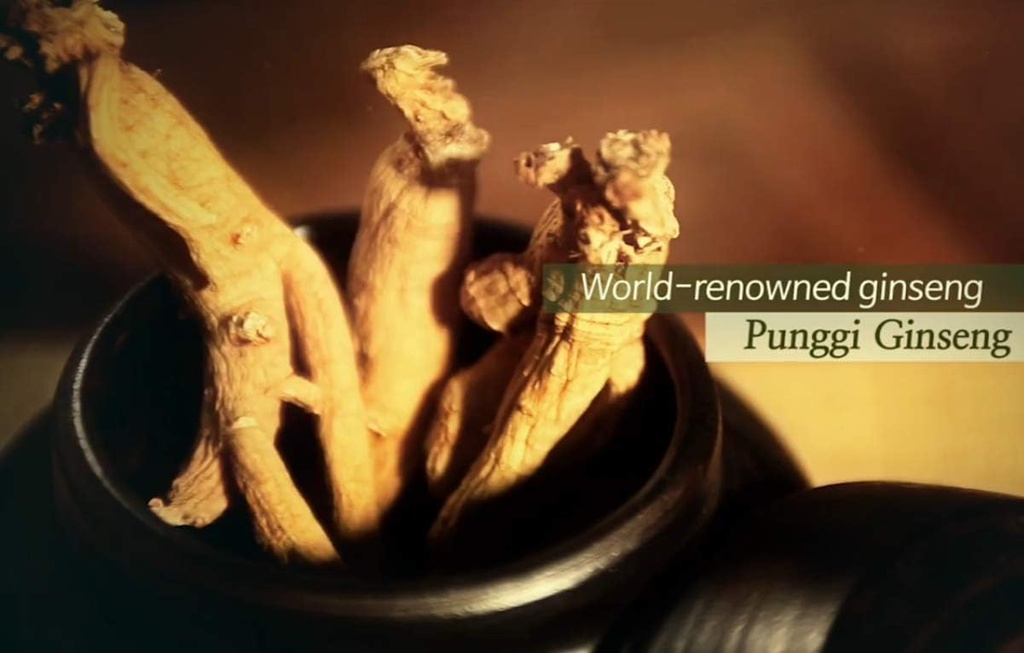 authentic-6years-korean-red-ginseng---30-5.jpg