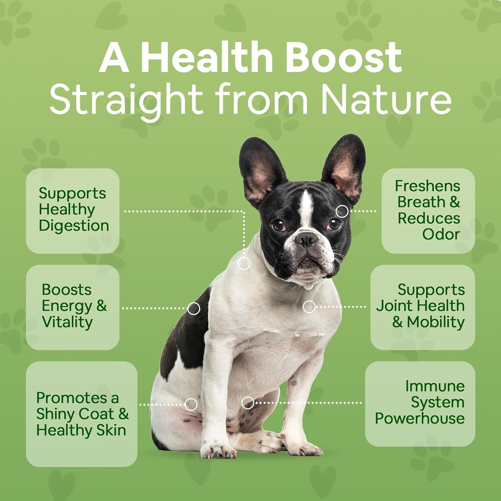 superfood-supplement-for-dogs-12-oz-orga-4.jpg