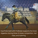 gold-with-probiotein-supports-the-horse--3.jpg