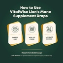 nano-lions-mane-mushroom-tincture---fast-2.jpg