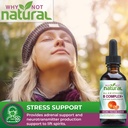 why-not-natural-b-complex-and-b12-liquid-3.jpg