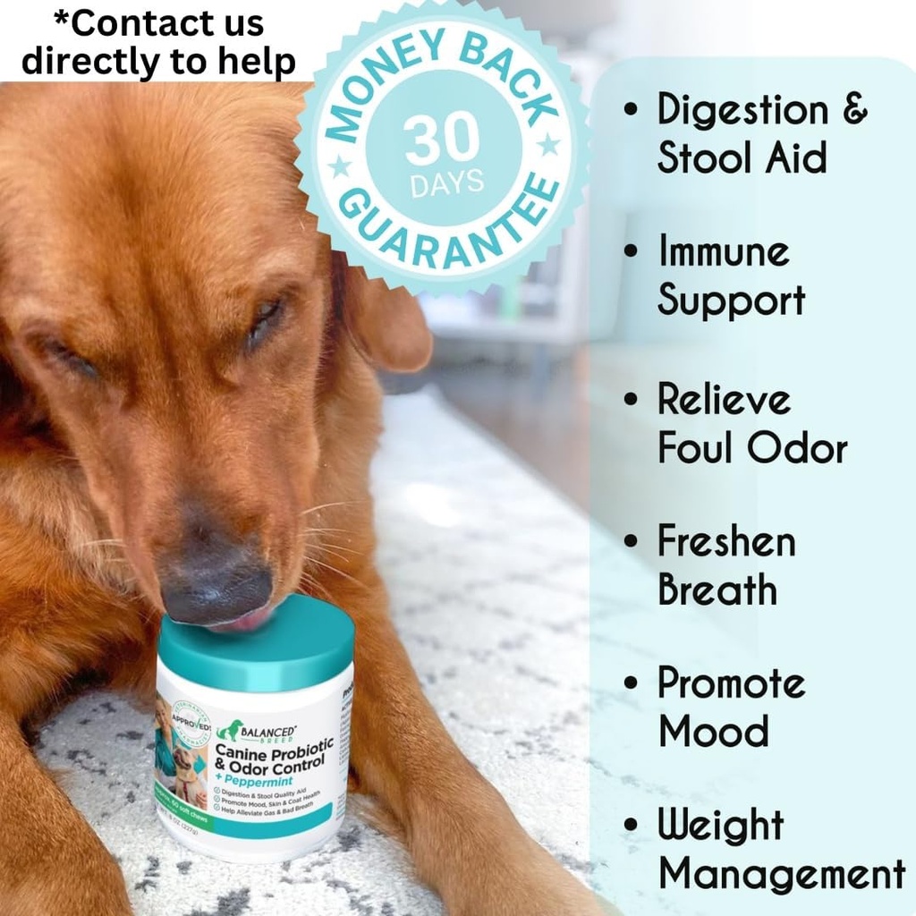 balanced-breed-dog-probiotics-digestive--2.jpg