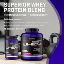 ultimate-nutrition-prostar-whey-protein--3.jpg