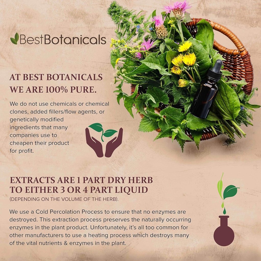 best-botanicals-lobelia-herb-powder-16-o-2.jpg
