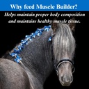 su-per-muscle-builder-horse-supplement---5.jpg