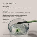 higherdose-detox-drops---liquid-chloroph-6.jpg
