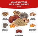 dog-lumps-and-bumps-supplement-lipoma-tr-2.jpg