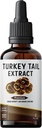 turkey-tail-mushroom-trametes-versicolor-6.jpg