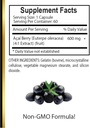 acai-berry-extract---powerful-super-food-5.jpg
