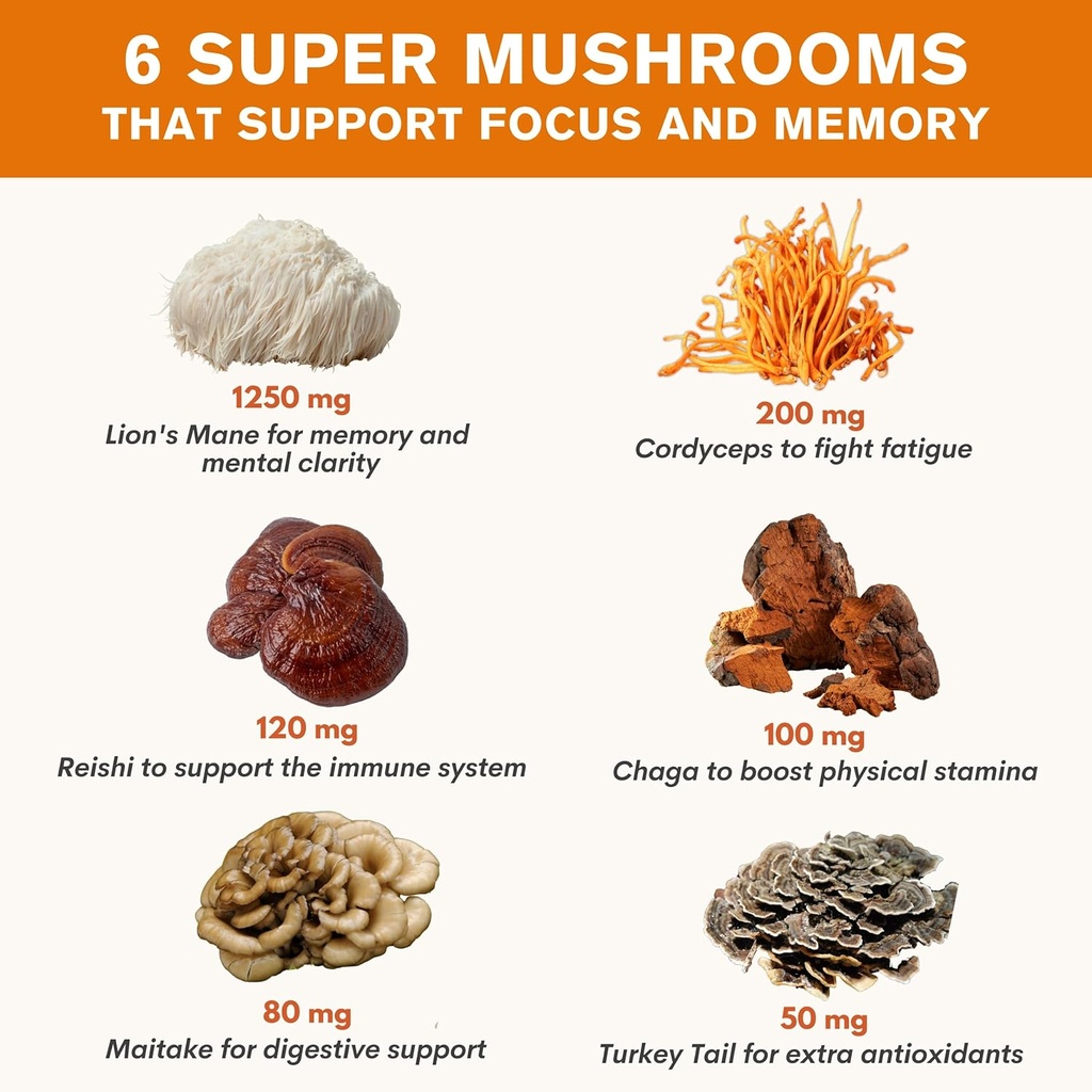 vital-vitamins-lions-mane-supplement-cap-3.jpg