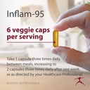 inflam-95---ginger-root-extract-2000-mg--4.jpg