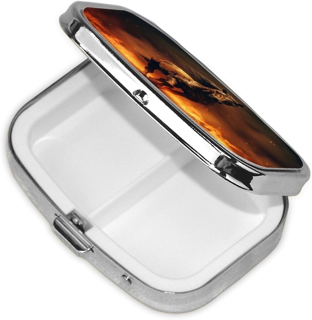 pill-box-flame-horse-square-pill-case-fo-3.jpg