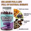 biolore-sea-moss-gummies-with-elderberry-5.jpg