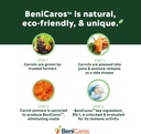 stem-root-daily-immunity-herbal-suppleme-6.jpg