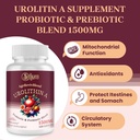 urolithin-a-supplement-1500mg-advanced-u-3.jpg