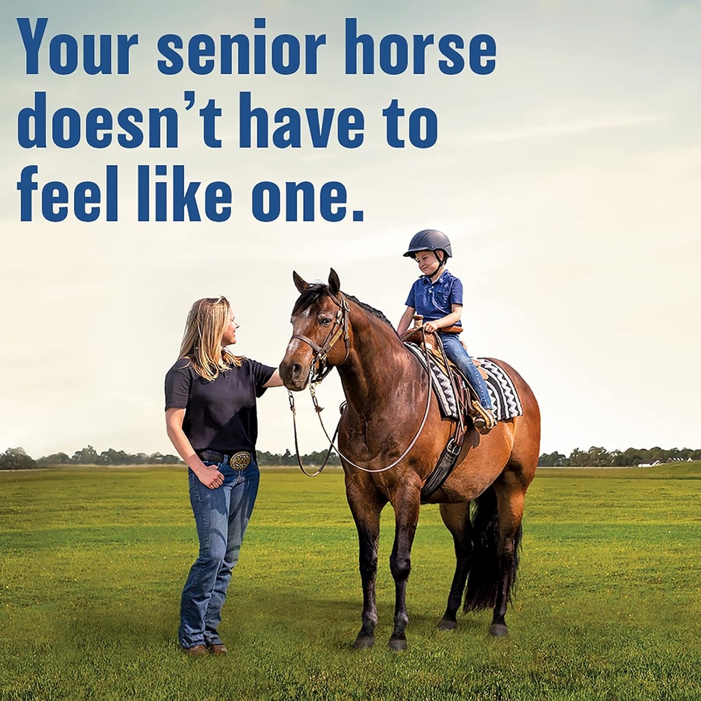 absorbine-bute-less-long-term-horse-comf-6.jpg