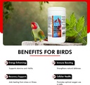 morning-bird-immune-system-booster-16-oz-5.jpg