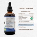 secrets-of-the-tribe-dandelion-leaf-tinc-4.jpg