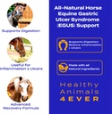 ha4e---horse-respiratory-issues-support--2.jpg