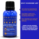 ha4e---horse-respiratory-issues-support--5.jpg