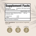 hpd-rx-premium-organic-cordyceps-mushroo-2.jpg