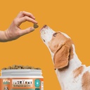 probiotics-for-dogs-digestive-health-sup-6.jpg