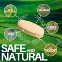 beta-sitosterol-mens-prostate-support-di-4.jpg