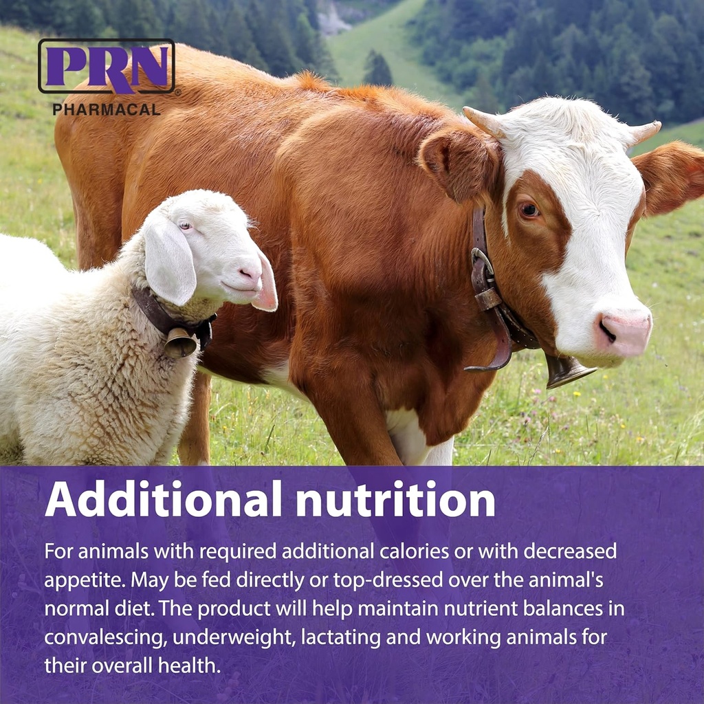 prn-pharmacal-stat---high-calorie-nutrit-6.jpg