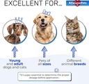 kennel-cough-treatment-for-dogs-cats-dog-5.jpg