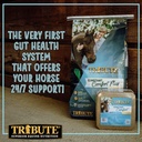 constant-comfort-supplement-block-to-sup-4.jpg