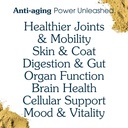 senior-dog-powder-supplement-food-topper-4.jpg