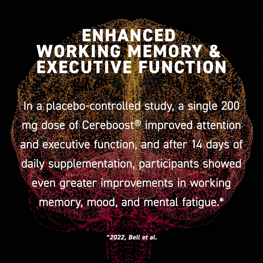 kaged-nootropic-formula-mindset-focus-an-2.jpg