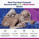 15-in-1-postnatal-vitamins-for-dogs---en-2.jpg