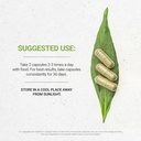 secrets-of-the-tribe-yarrow-120-capsules-3.jpg