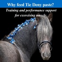 su-per-tie-deny-paste-for-horses---energ-2.jpg