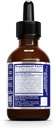 quantum-nutrition-labs-green-tea-pg---gr-2.jpg