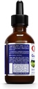 quantum-nutrition-labs-green-tea-pg---gr-3.jpg
