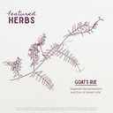 wishgarden-herbs-goats-rue-lactation-sup-4.jpg