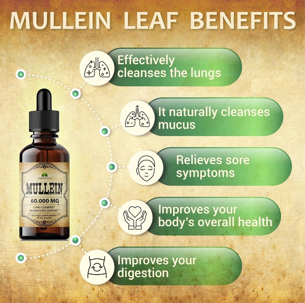 herbalicious-mullein-drops-for-lungs-org-5.jpg
