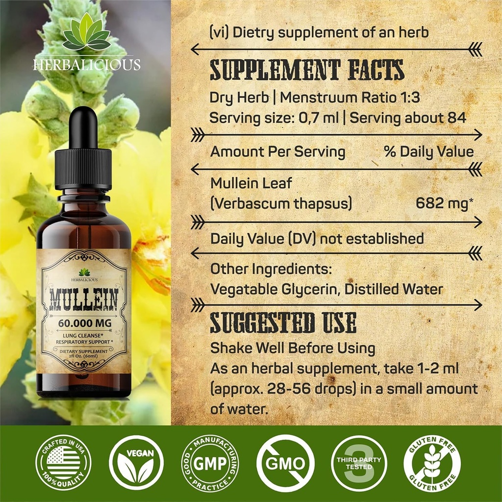 herbalicious-mullein-drops-for-lungs-org-6.jpg