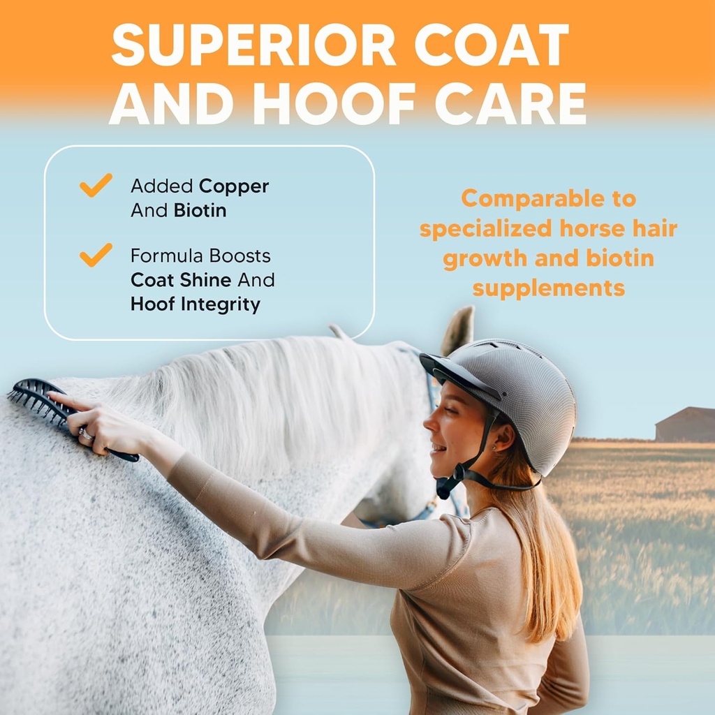 equerrys-cu-shine-total-horse-health-pel-6.jpg